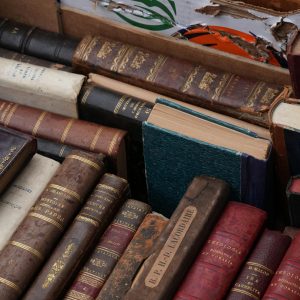 pexels-bltkrn-35098074 Banning Books Undermines Public Intellectualism